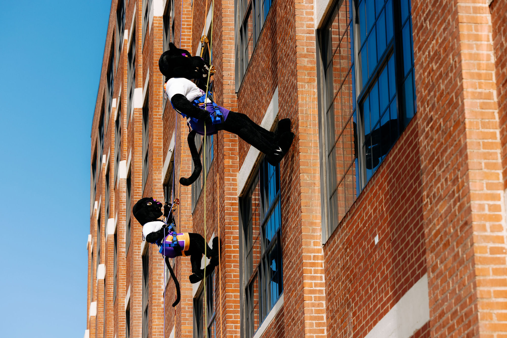 TC and TK Rappelling on Building